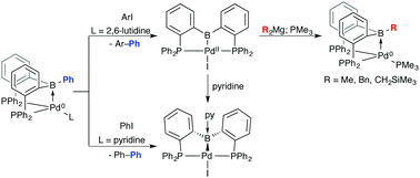 Graphical abstract: Isolation and properties of a palladium PBP pincer complex featuring an ambiphilic boryl site