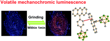 Graphical abstract: A carborane-triggered metastable charge transfer state leading to spontaneous recovery of mechanochromic luminescence