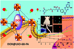 Graphical abstract: A drug-loaded nanoscale metal–organic framework with a tumor targeting agent for highly effective hepatoma therapy