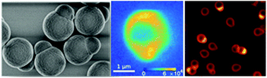 Graphical abstract: One-pot synthesis of micron partly hollow anisotropic dumbbell shaped silica core–shell particles