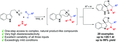 Graphical abstract: Synthesis of polycyclic spiroindolines by highly diastereoselective interrupted Ugi cascade reactions of 3-(2-isocyanoethyl)indoles