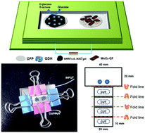 Graphical abstract: A miniature origami biofuel cell based on a consumed cathode
