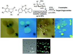 Graphical abstract: Synthesis of precipitating chromogenic/fluorogenic β-glucosidase/β-galactosidase substrates by a new method and their application in the visual detection of foodborne pathogenic bacteria