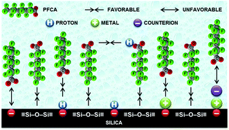 Graphical abstract: Adsorption of perfluorocarboxylic acids at the silica surface