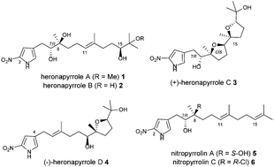 Graphical abstract: 2-Nitropyrrole cross-coupling enables a second generation synthesis of the heronapyrrole antibiotic natural product family
