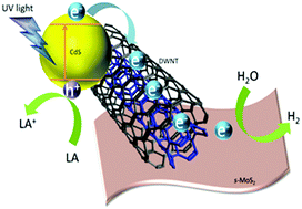 Graphical abstract: Importance of the structural integrity of a carbon conjugated mediator for photocatalytic hydrogen generation from water over a CdS–carbon nanotube–MoS2 composite