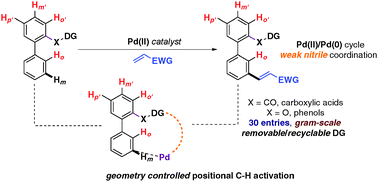 Graphical abstract: Palladium catalyzed selective distal C–H olefination of biaryl systems