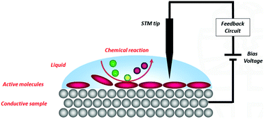 Graphical abstract: Chemistry at the square nanometer: reactivity at liquid/solid interfaces revealed with an STM