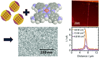 Graphical abstract: Structure, transport and photoconductance of PbS quantum dot monolayers functionalized with a copper phthalocyanine derivative