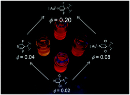 Graphical abstract: Synergistic luminescence enhancement of a pyridyl-substituted triarylmethyl radical based on fluorine substitution and coordination to gold