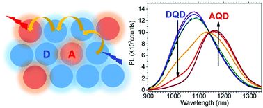 Graphical abstract: The photoluminescence spectral profiles of water-soluble aggregates of PbS quantum dots assembled through reversible metal coordination