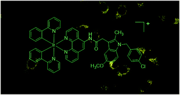 Graphical abstract: Luminescent iridium(iii) complexes as COX-2-specific imaging agents in cancer cells