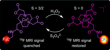Graphical abstract: A CoII complex for 19F MRI-based detection of reactive oxygen species