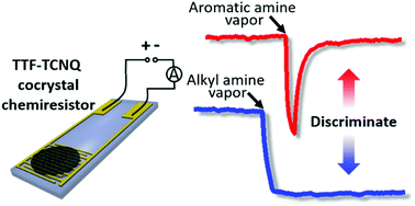 Graphical abstract: Discrimination of alkyl and aromatic amine vapors using TTF–TCNQ based chemiresistive sensors