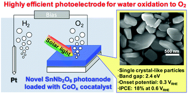 Graphical abstract: A CoOx-modified SnNb2O6 photoelectrode for highly efficient oxygen evolution from water