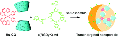 Graphical abstract: Tumor-targeted supramolecular nanoparticles self-assembled from a ruthenium-β-cyclodextrin complex and an adamantane-functionalized peptide