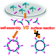 Graphical abstract: Construction of 2D nanoporous networks by coupling on-surface dynamic imine chemistry and dipole-stabilized self-assembly