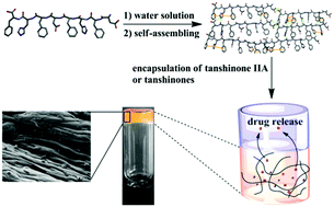 Graphical abstract: A simply triggered peptide-based hydrogel as an injectable nanocarrier of tanshinone IIA and tanshinones
