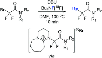 Graphical abstract: Efficient DBU accelerated synthesis of 18F-labelled trifluoroacetamides