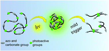 Graphical abstract: Degradable fluorescent single-chain nanoparticles based on metathesis polymers