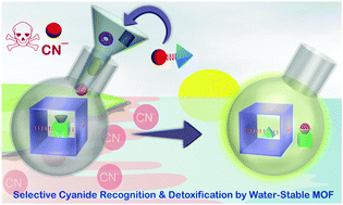 Graphical abstract: Aqueous phase sensing of cyanide ions using a hydrolytically stable metal–organic framework