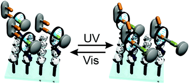 Graphical abstract: A photoswitchable rotaxane operating in monolayers on solid support