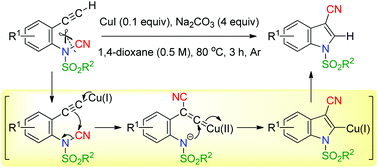 Graphical abstract: CuI-Catalyzed intramolecular aminocyanation of terminal alkynes in N-(2-ethynylphenyl)-N-sulfonylcyanamides via Cu–vinylidene intermediates