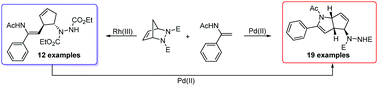 Graphical abstract: Pd-Catalyzed oxidative annulation of enamides with diazabicyclic olefins: rapid access to cyclopentene fused 2-pyrrolines