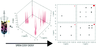 Graphical abstract: Spatially encoded 2D and 3D diffusion-ordered NMR spectroscopy