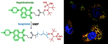 Graphical abstract: Fluorescent polymer prodrug nanoparticles with aggregation-induced emission (AIE) properties from nitroxide-mediated polymerization