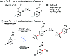 Graphical abstract: Ruthenium-catalyzed meta/ortho-selective C–H alkylation of azoarenes using alkyl bromides