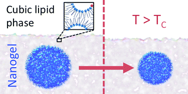 Graphical abstract: Temperature responsive lipid liquid crystal layers with embedded nanogels