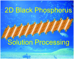 Graphical abstract: Solution processing of two-dimensional black phosphorus