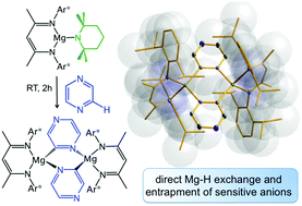 Graphical abstract: Regioselective magnesiation of N-heterocyclic molecules: securing insecure cyclic anions by a β-diketiminate-magnesium clamp