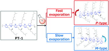 Graphical abstract: Evaporation rate-based selection of supramolecular chirality