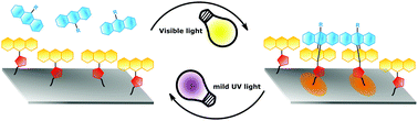 Graphical abstract: Light-driven reversible surface functionalization with anthracenes: visible light writing and mild UV erasing