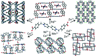 Graphical abstract: The structural diversity and properties of nine new viologen based zwitterionic metal–organic frameworks