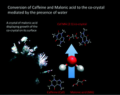 Graphical abstract: Tuning the spontaneous formation kinetics of caffeine : malonic acid co-crystals