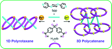 Graphical abstract: Cation-directed assembly of polyrotaxane and polycatenane