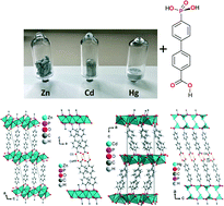 Graphical abstract: Syntheses, structures and properties of group 12 element (Zn, Cd, Hg) coordination polymers with a mixed-functional phosphonate-biphenyl-carboxylate linker