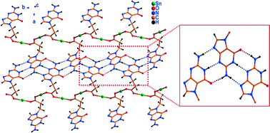 Graphical abstract: Organostannoxane-supported nucleobase arrays: synthesis and supramolecular structures of polymeric and molecular organotin complexes containing guanine, uracil and 2-aminopurine