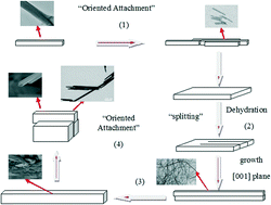 Graphical abstract: Study of the morphological evolution of vanadium pentoxide nanostructures under hydrothermal conditions