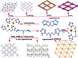 Graphical abstract: Zinc and cadmium complexes based on bis-(1H-tetrazol-5-ylmethyl/ylethyl)-amine ligands: structures and photoluminescence properties