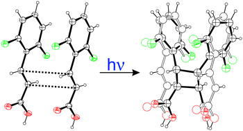 Graphical abstract: Structural transformations in crystals induced by radiation and pressure. Part 5. The influence of pressure on the course of the photochemical reaction in crystals of 2,6-difluorocinnamic acid