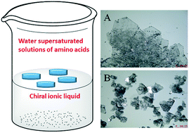 Graphical abstract: Crystallization of amino acids at the chiral ionic liquid/water interface