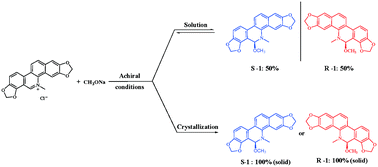 Graphical abstract: Absolute asymmetric synthesis of a sanguinarine derivative through crystal–solution interactions