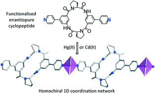 Graphical abstract: Molecular tectonics: homochiral coordination polymers based on pyridyl-substituted cyclic tetrapeptides