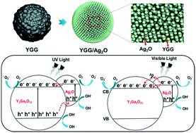 Graphical abstract: Controlled synthesis of yttrium gallium garnet spherical nanostructures modified by silver oxide nanoparticles for enhanced photocatalytic properties