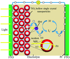 Graphical abstract: Anatase TiO2 single crystal hollow nanoparticles: their facile synthesis and high-performance in dye-sensitized solar cells