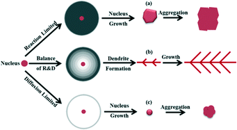 Graphical abstract: Shaping particles by chemical diffusion and reaction